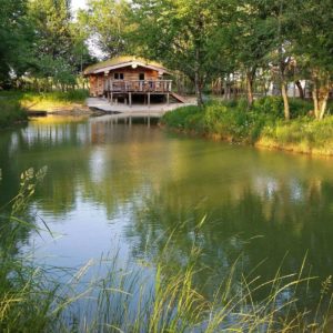 Chalet en bois au bord dun étang, entouré de verdure luxuriante.