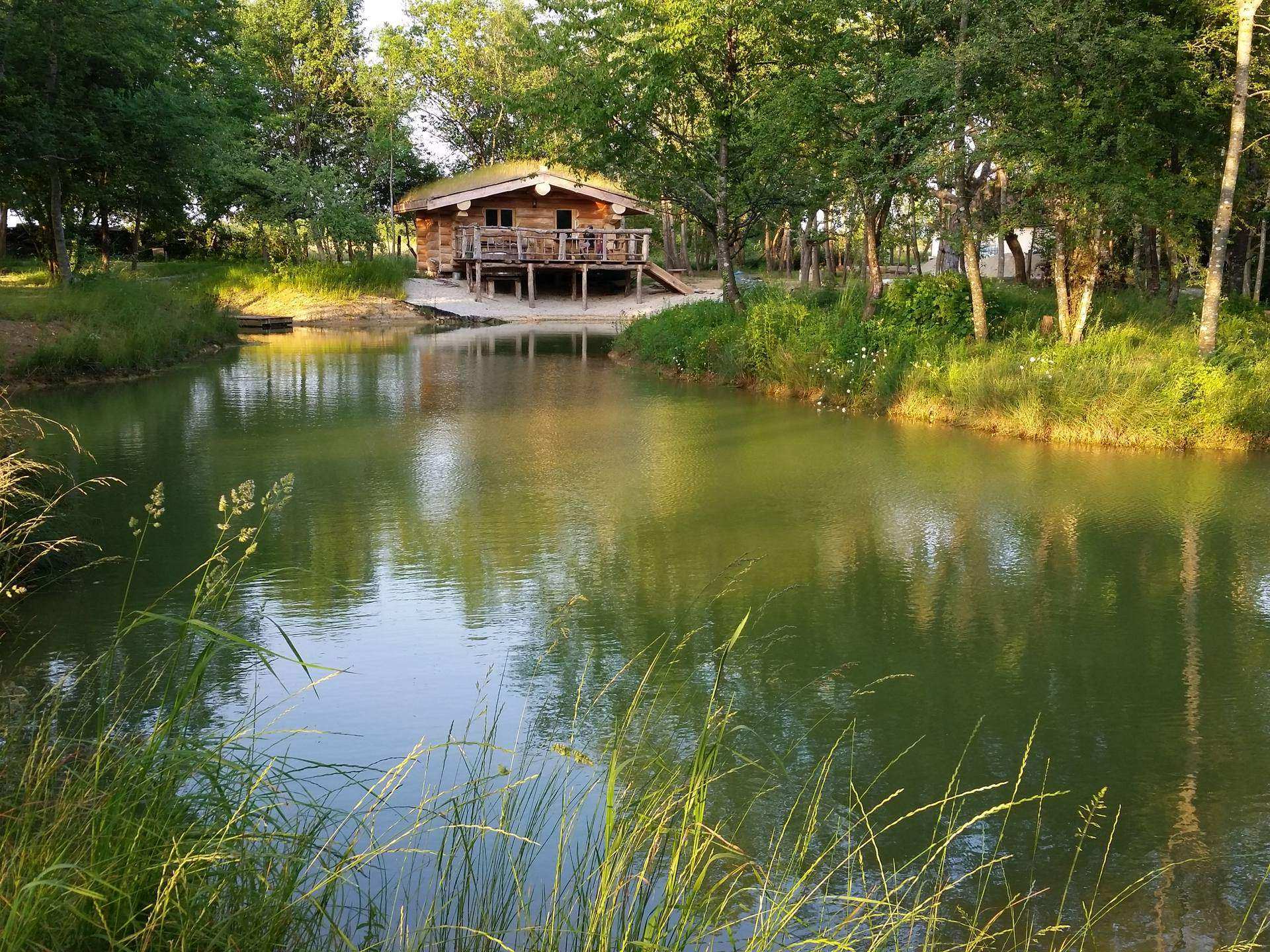 4332 Cabane en bois au bord dun étang, entourée de verdure à Champagne-Ardennes.
