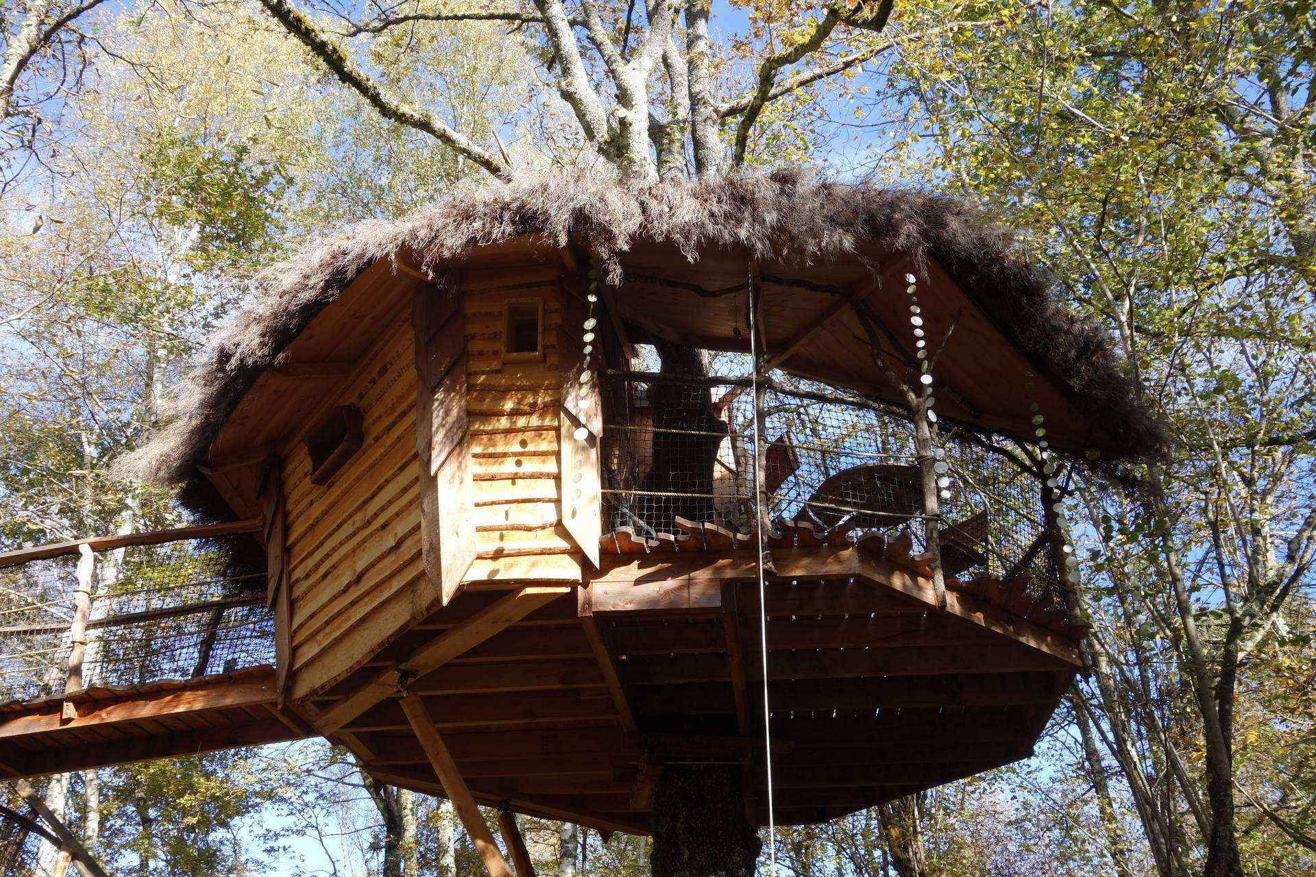 4408 Cabane perchée en bois avec toit en chaume, entourée darbres en Midi-Pyrénées.