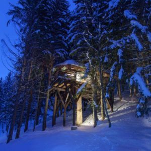 Cabane perchée dans les arbres, illuminée, entourée de neige et de sapins.