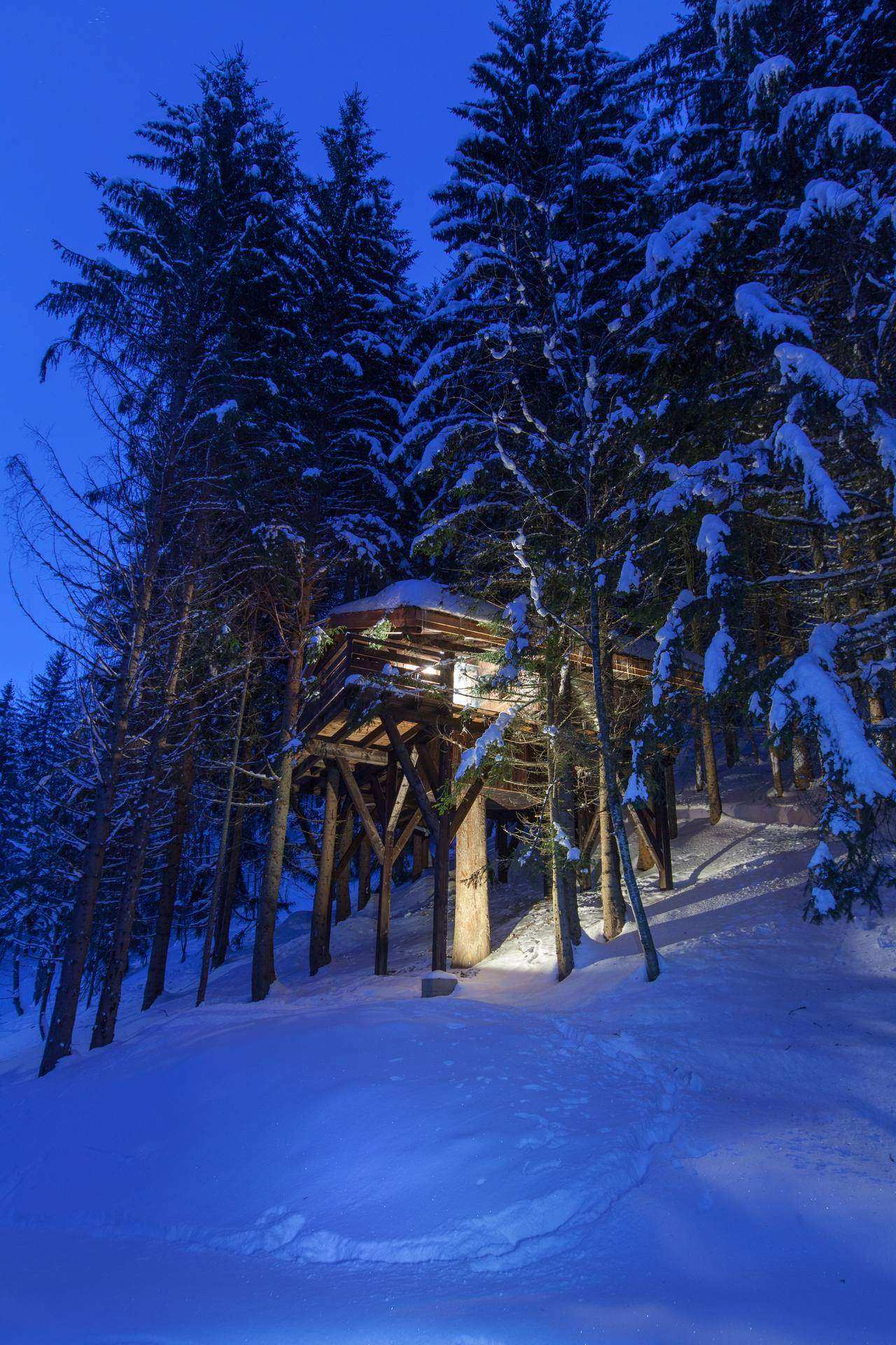 Cabane perchée dans les arbres, illuminée, entourée de neige et de sapins.