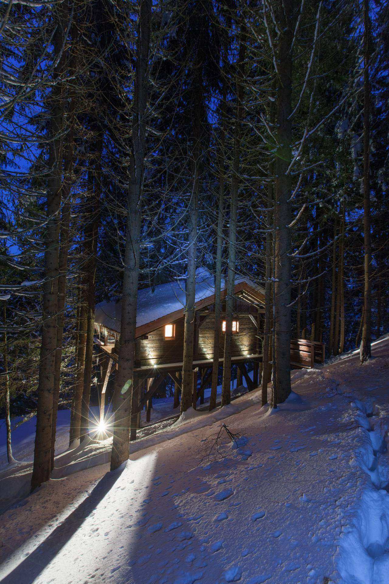 4424 Cabane perchée en bois, illuminée, entourée de sapins sous la neige en Auvergne-Rhône-Alpes.