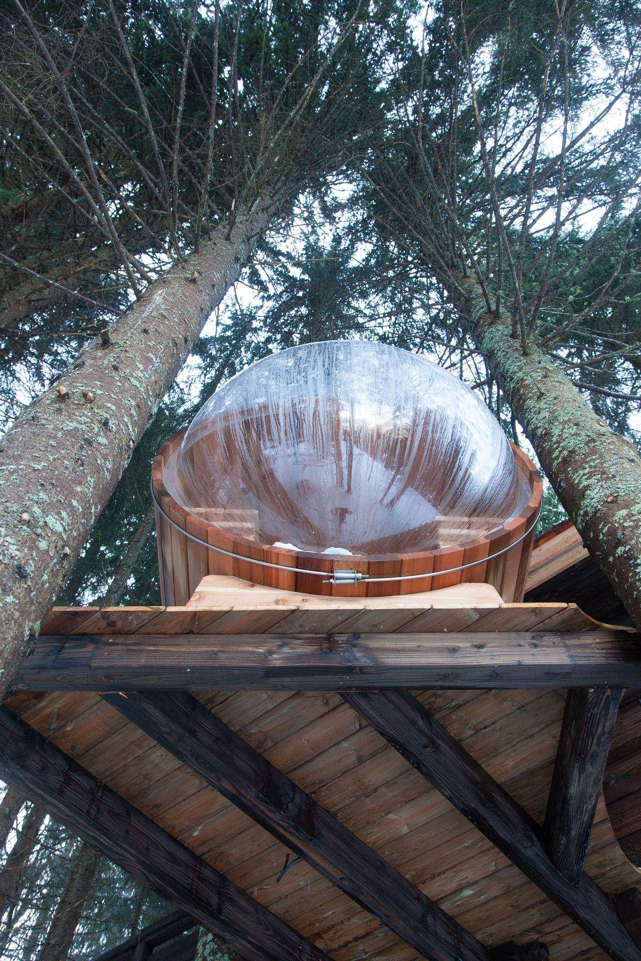 4425 Cabane en bois perchée dans les arbres avec une bulle transparente au sommet.