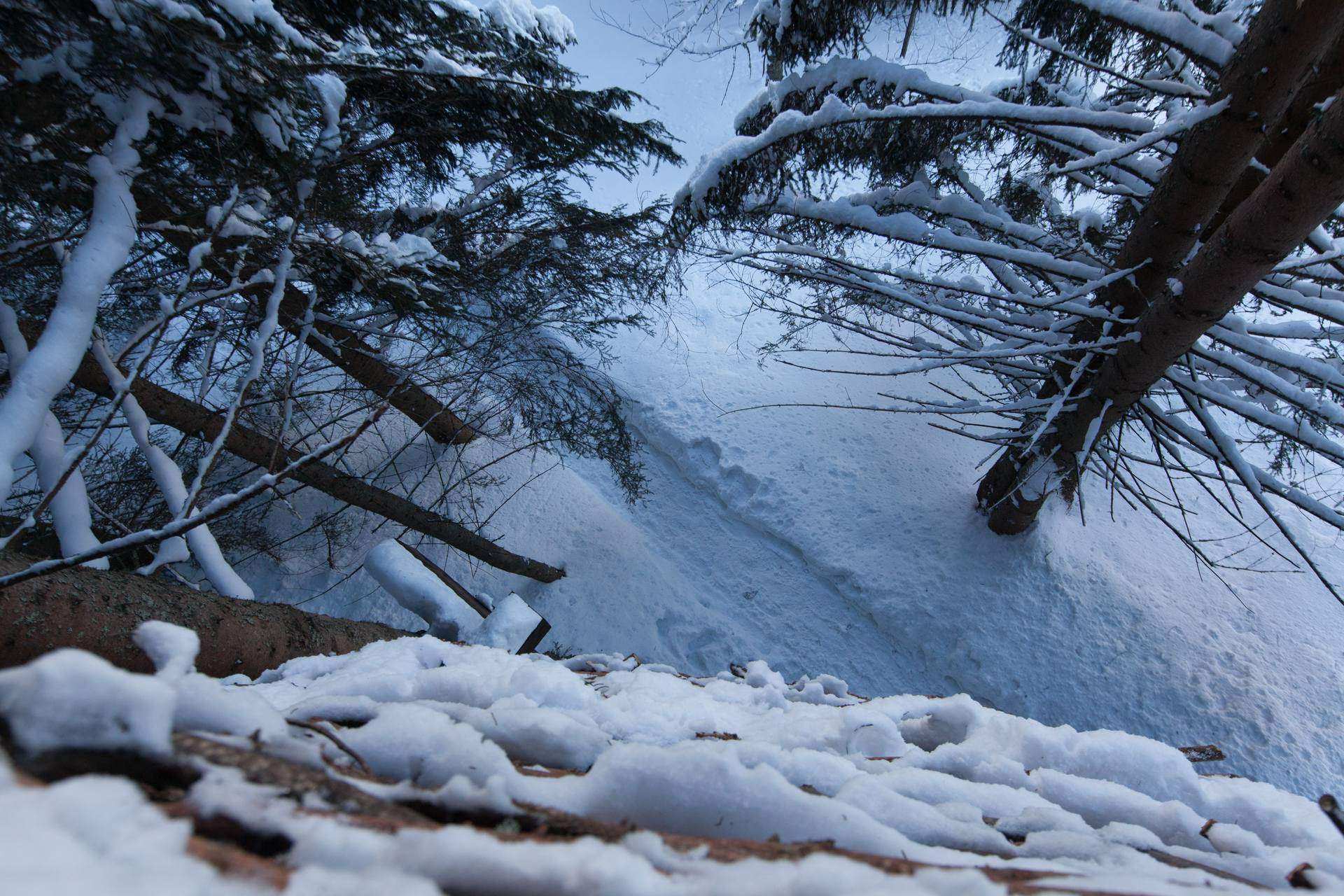 4433 Cabane perchée en bois, entourée de neige et de sapins majestueux en Auvergne.