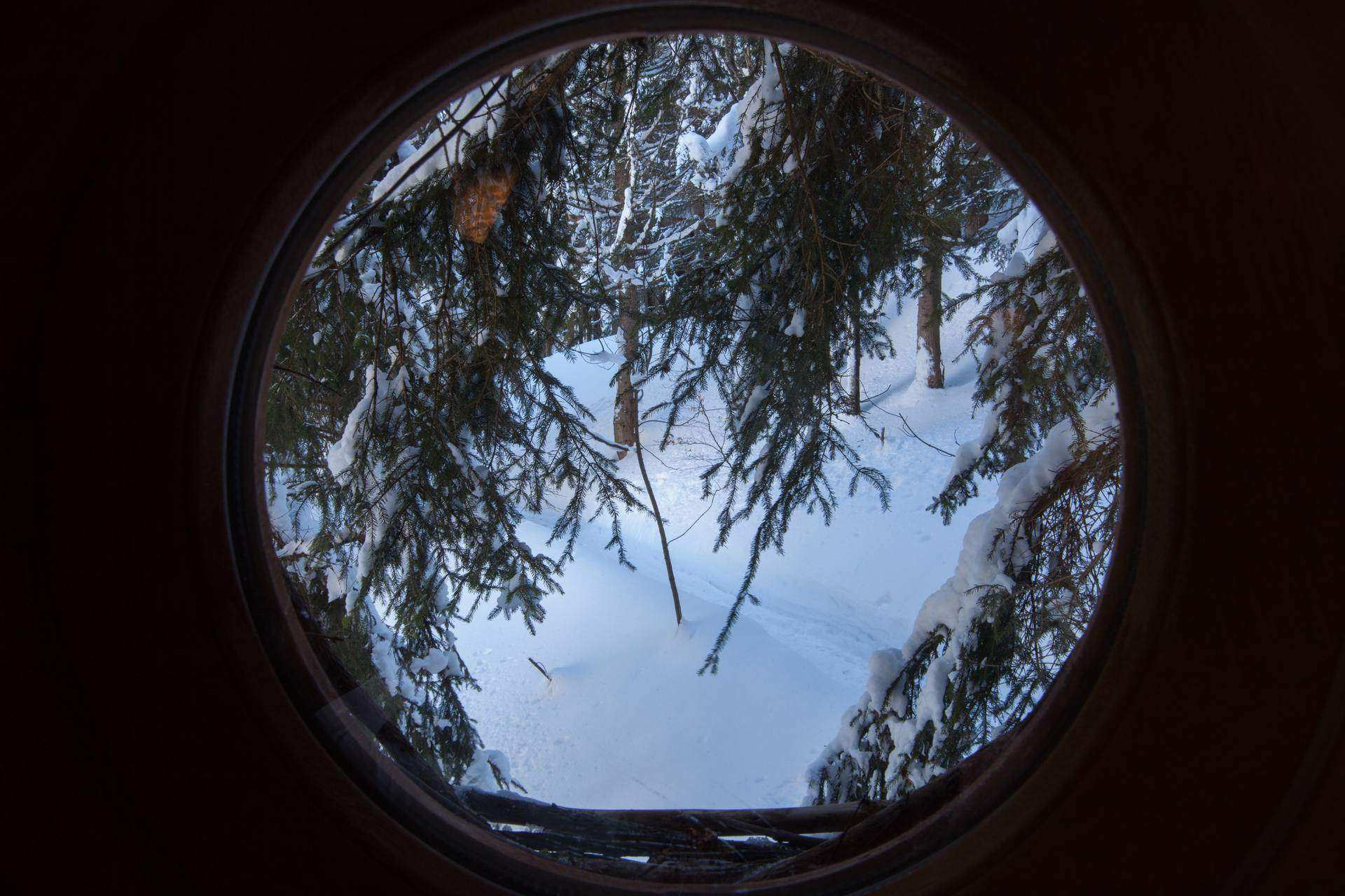 4434 Vue depuis un hébergement insolite en bois, entouré de neige et darbres.