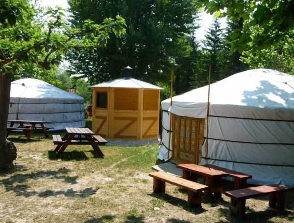 Yourtes confortables entourées darbres, avec tables de pique-nique en bois.