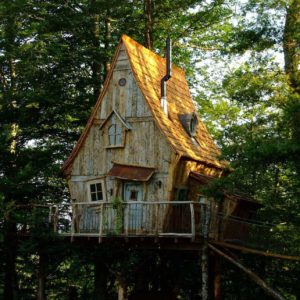 Cabane perchée en bois, entourée darbres verdoyants et lumineuse.