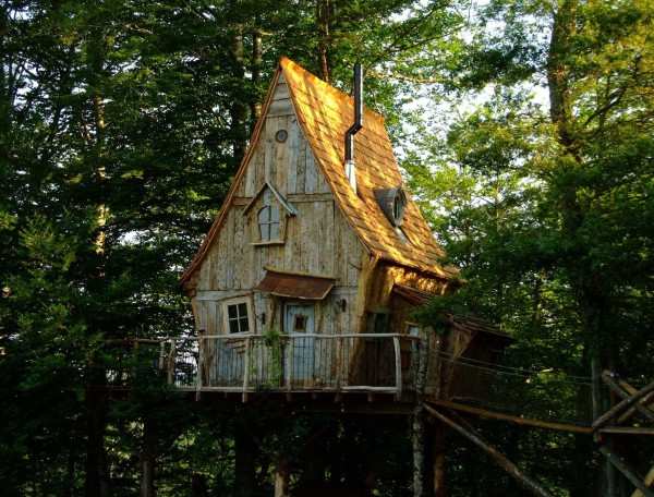Cabane perchée en bois, entourée darbres verdoyants et lumineuse.