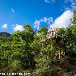 Cabane perchée dans les arbres, entourée de verdure et de montagnes.