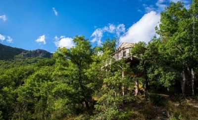 Cabane perchée dans les arbres, entourée de verdure et de montagnes.