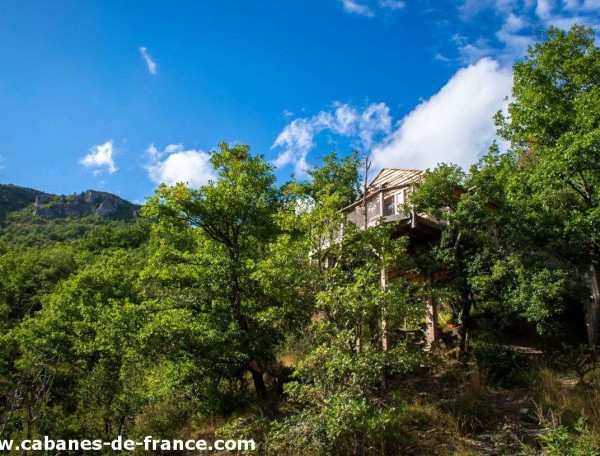 Cabane perchée dans les arbres, entourée de verdure et de montagnes.