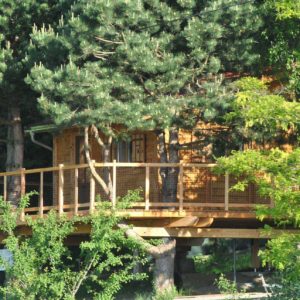 Cabane dans les arbres avec terrasse en bois, entourée de verdure luxuriante.