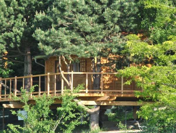 Cabane dans les arbres avec terrasse en bois, entourée de verdure luxuriante.