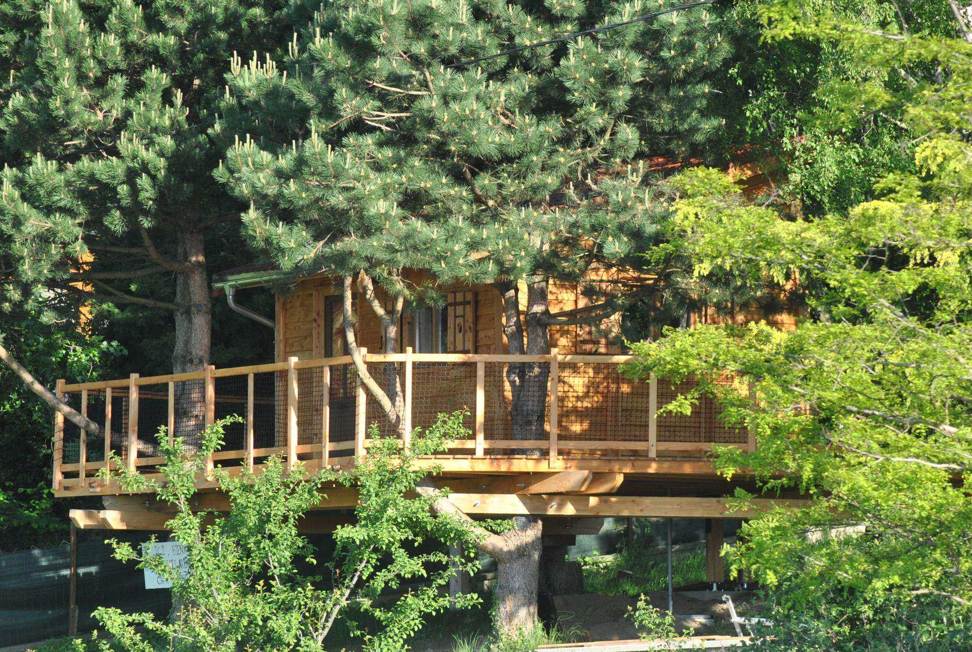 Cabane dans les arbres avec terrasse en bois, entourée de verdure luxuriante.