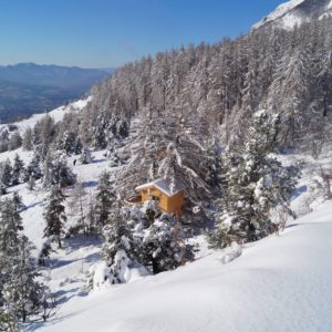 Chalet en bois niché dans un paysage enneigé, entouré de sapins majestueux.