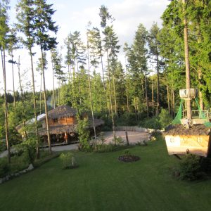 Cabane dans les arbres et chalet en bois, entourés de verdure luxuriante.