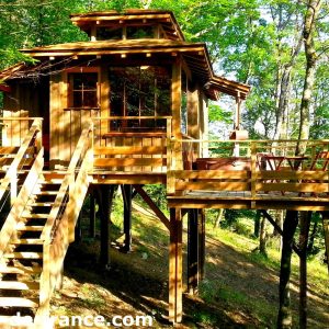 Cabane dans les arbres en bois, perchée sur pilotis, entourée de verdure.