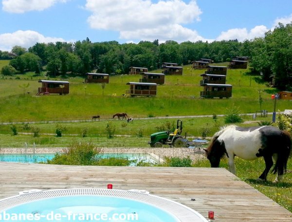 Cabanes en bois avec vue sur la nature, piscine et chevaux dans le paysage verdoyant.