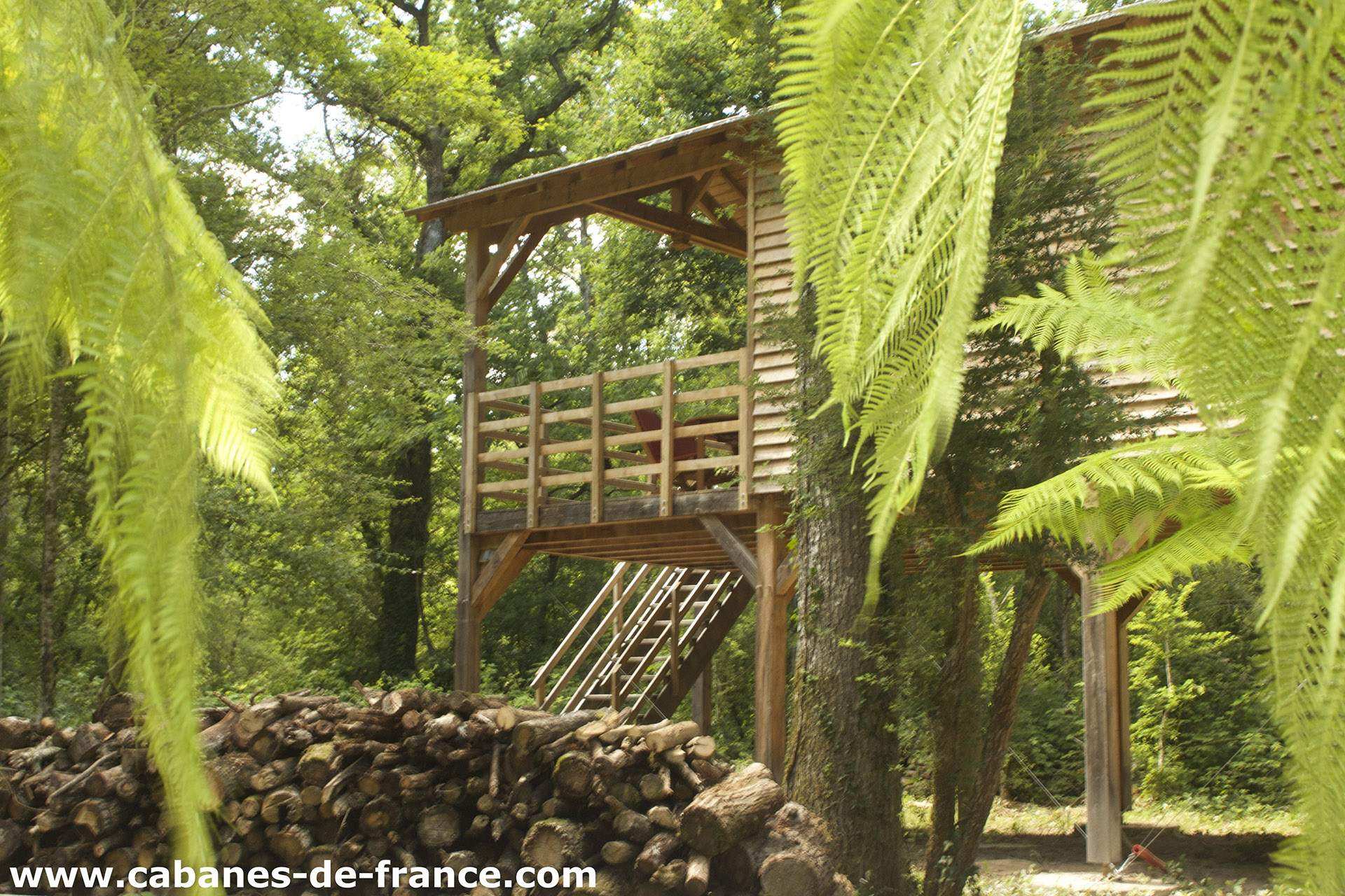 Cabane en bois perchée, entourée de verdure et de troncs darbres.