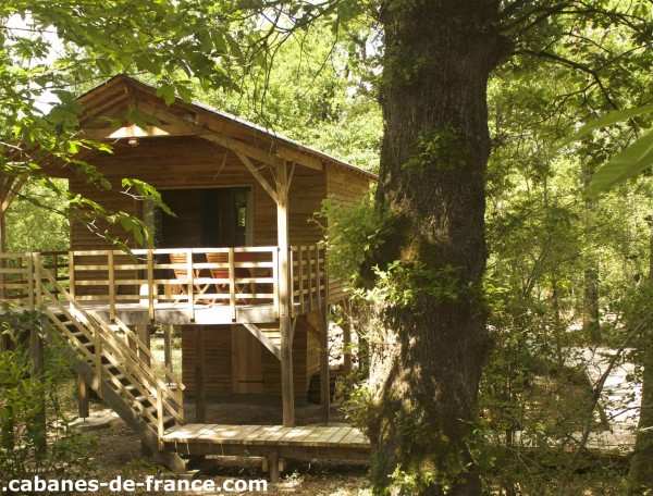 Cabane en bois perchée dans les arbres, entourée de verdure luxuriante.