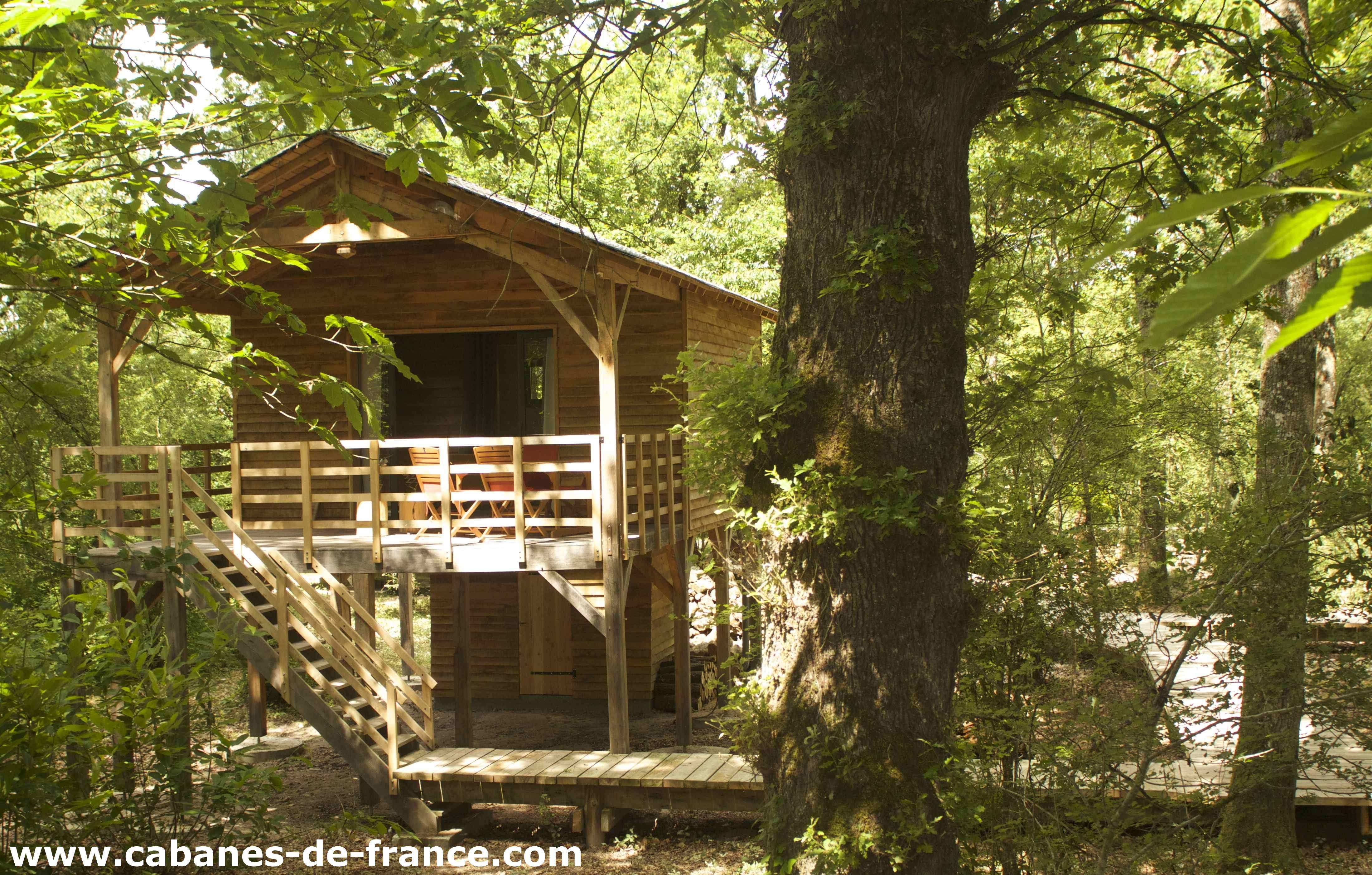 Cabane en bois perchée dans les arbres, entourée de verdure luxuriante.