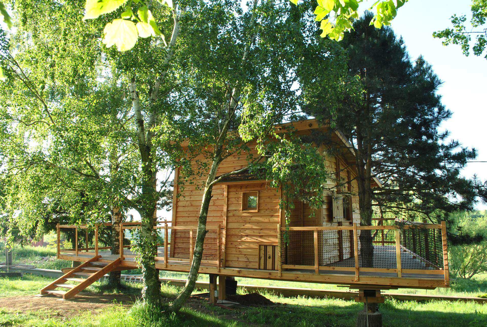 Cabane en bois perchée dans les arbres, entourée de verdure luxuriante.
