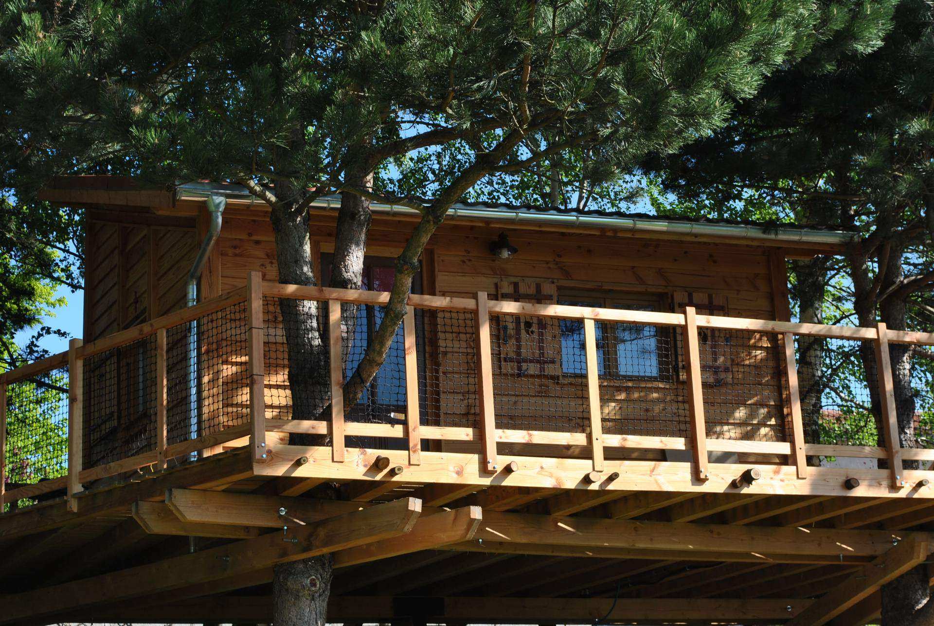 Cabane dans les arbres avec terrasse en bois, entourée de verdure.