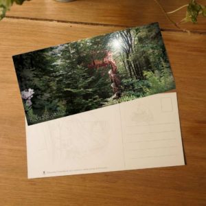 Cabane en bois nichée dans la forêt, baignée de lumière naturelle.