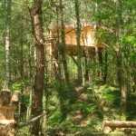 Le Petit Embranchard