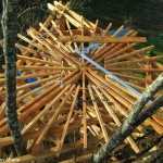 Cabane dans les arbres en bois, avec une structure en étoile et des branches environnantes.