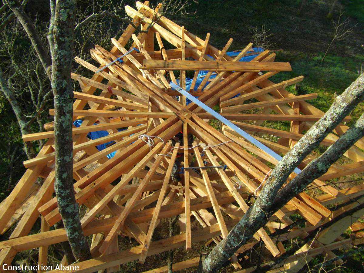 Cabane dans les arbres en bois, avec une structure en étoile et des branches environnantes.