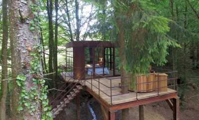 Cabane métal et SPA
