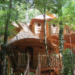 entree-cabane de la clairiere