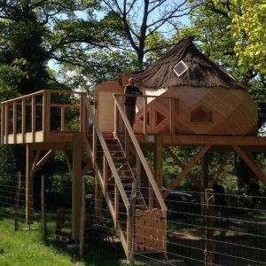 Cabane perchée en bois avec toit en chaume, entourée de verdure.