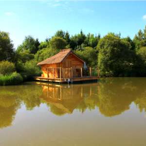 Charmante cabane sur pilotis, entourée de verdure et reflétée dans leau calme.