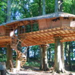 Cabane dans les arbres en bois, perchée au milieu dune forêt verdoyante.