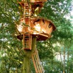 Cabane dans les arbres avec échelle en bois, nichée au cœur dune forêt verdoyante.