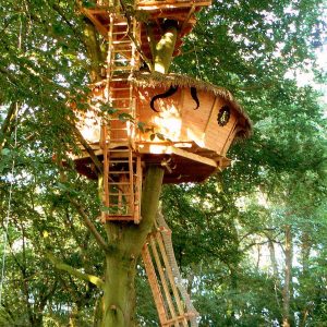 Cabane dans les arbres avec échelle en bois, nichée au cœur dune forêt verdoyante.