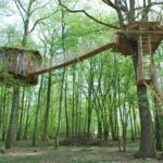 Cabane dans les arbres, perchée entre les feuillages verdoyants, avec une passerelle en bois.