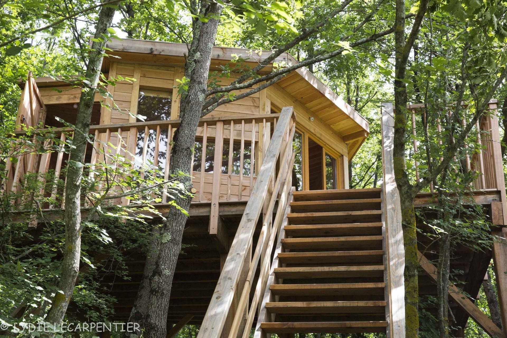 MR6A5724_cabanes-de-france Cabane perchée en bois, entourée darbres, avec une terrasse en bois accueillante.