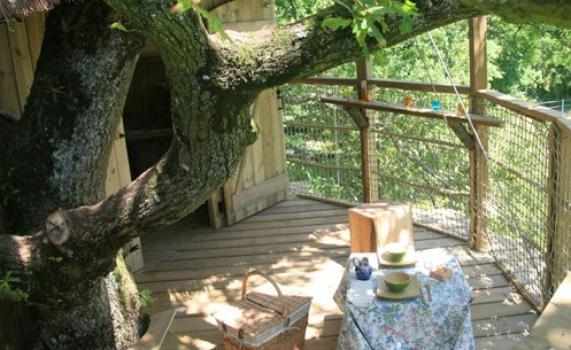 cabane-dans-les-arbres-girsberg-terrasse Cabane dans les arbres en Pays de la Loire, avec une table de pique-nique sous un grand chêne.