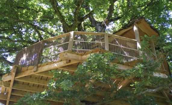 cabane-dans-les-arbres-girsberg Cabane perchée dans un arbre, offrant une vue imprenable sur la nature environnante.