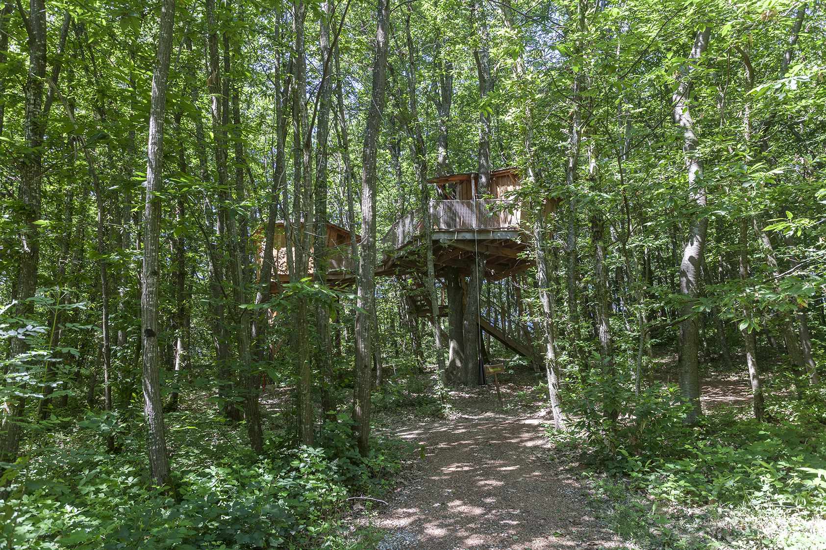 photojp-angei-jp-angei2488 Cabane perchée dans les arbres, entourée dune forêt verdoyante en Auvergne-Rhône-Alpes.