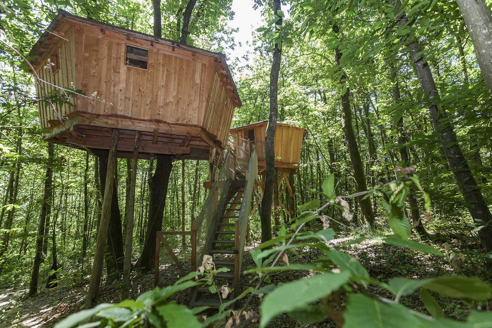 photojp-angei-jp-angei2491 Cabane perchée en bois dans les arbres, entourée de verdure luxuriante.