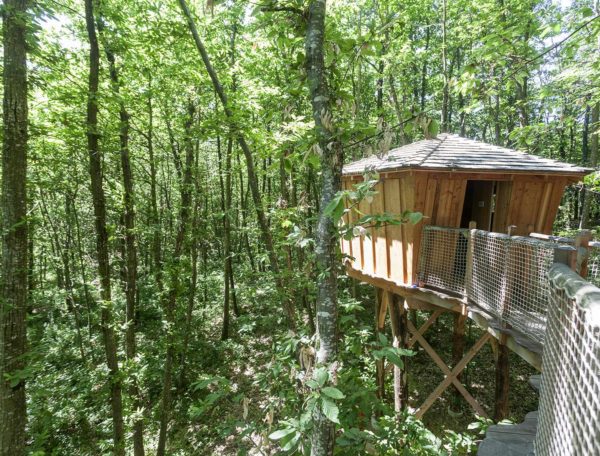 Cabane perchée en bois, entourée dune forêt verdoyante en Auvergne-Rhône-Alpes.