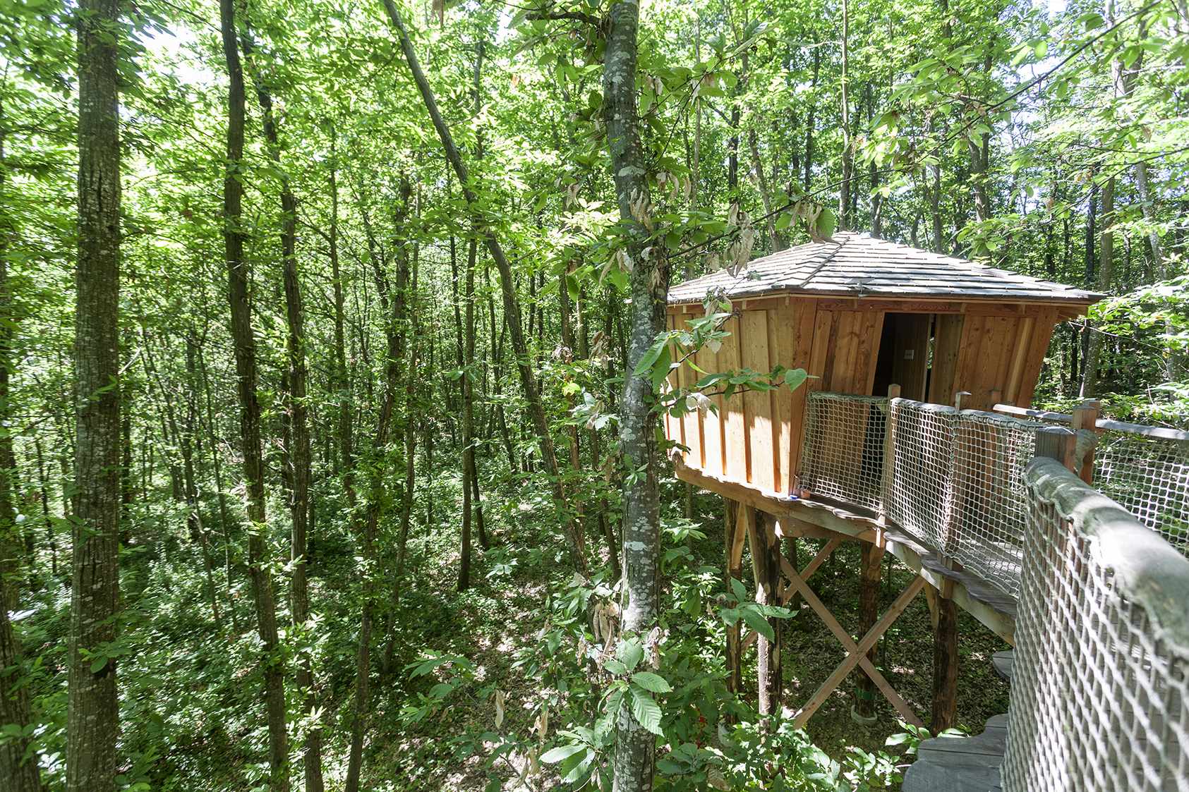 Cabane perchée en bois, entourée dune forêt verdoyante en Auvergne-Rhône-Alpes.