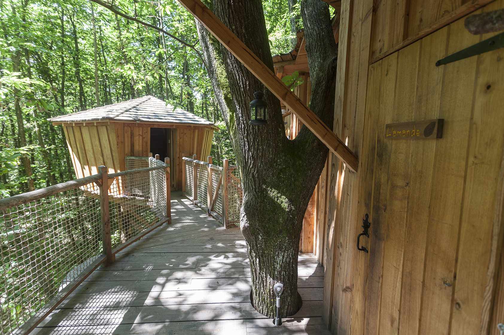 photojp-angei-jp-angei2493 Cabane perchée en bois, reliée par un chemin suspendu dans les arbres verdoyants.