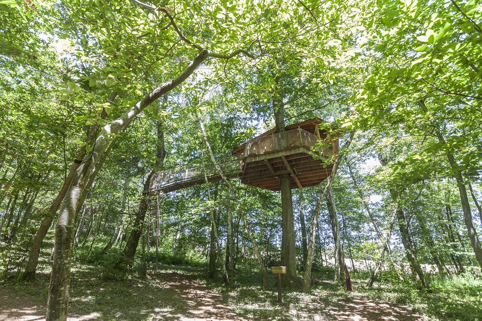 photojp-angei-jp-angei2505 Cabane perchée dans les arbres, entourée de verdure luxuriante en Auvergne-Rhône-Alpes.