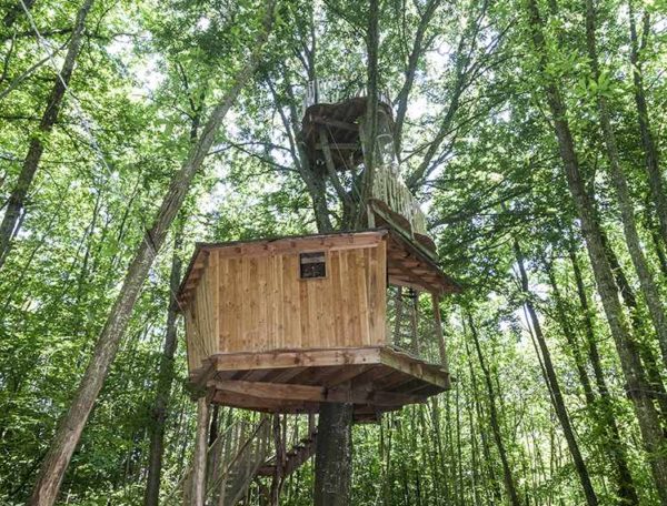 Cabane perchée dans les arbres, entourée de verdure luxuriante en Auvergne-Rhône-Alpes.