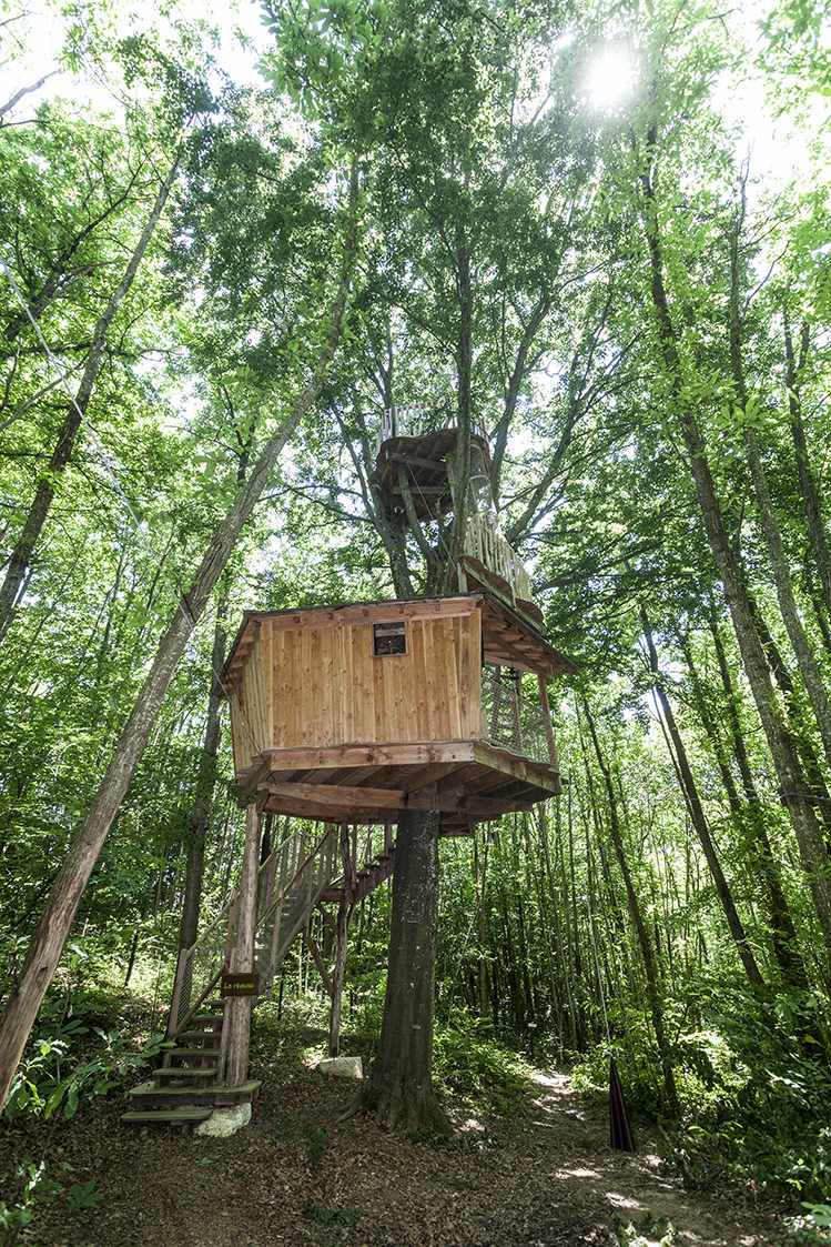 Cabane perchée dans les arbres, entourée de verdure luxuriante en Auvergne-Rhône-Alpes.